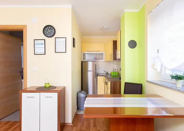 Tina Apartman Medulin